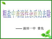 初中化学实验活动8 粗盐中难溶性杂质的去除背景图课件ppt