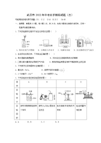 2022年湖北省武汉市中考化学模拟试题（三）(word版含答案)