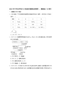 2022年中考化学复习压轴题（选择题）：酸碱盐（含答案）