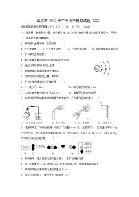 2022年湖北省武汉市中考化学模拟试题（二）(word版含答案)