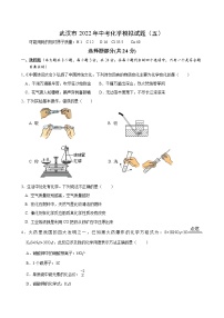 2022年湖北省武汉市中考化学模拟试题（五）(word版含答案)