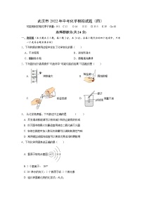 2022年湖北省武汉市中考化学模拟试题（四）(word版含答案)