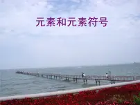 初中化学鲁教版 (五四制)八年级全册第二节 元素图文ppt课件