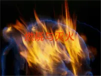 鲁教版 (五四制)八年级全册第一节 燃烧与灭火评课ppt课件