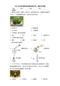 2022年山东省青岛市崂山区中考一模化学试题(word版含答案)