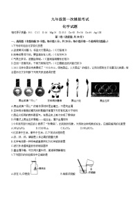 2022年山东省泰安新泰市中考一模化学试题