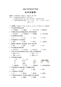 2022年湖南省湘潭县天易水竹学校初中学业水平模拟化学试题(word版含答案)