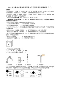 2022年安徽省初中学业水平模拟九年级化学试题（二）(word版含答案)