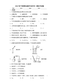 2022年广西贺州市昭平县中考一模化学试题(word版含答案)