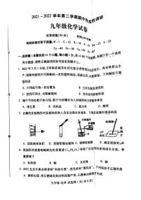 2021-2022学年河南省洛阳市洛龙区九年级下学期期中化学测试卷（无答案）