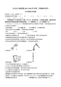 江西省吉安市八校联盟2021-2022学年九年级下学期期中化学试题(word版含答案)