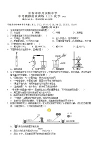 2022年吉林省长春市净月实验中学中考模拟仿真训练（三）化学试题