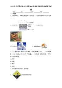 2022年四川省泸州市江阳区初中学业水平适应性考试化学试题(word版含答案)