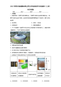 2022年四川省成都市锦江区九年级适应性专项监测（二诊）化学试题(word版含答案)