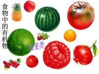 2020-2021学年第一节 食物中的有机物教课ppt课件