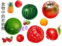 2020-2021学年第一节 食物中的有机物教课ppt课件