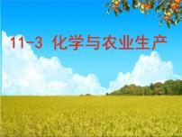 初中化学鲁教版九年级下册第十一单元  化学与社会发展第三节  化学与农业生产图片课件ppt