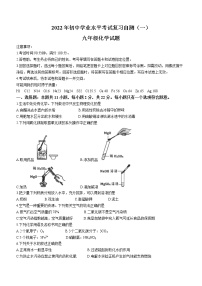 2022年山东省潍坊市昌乐县中考一模化学试题