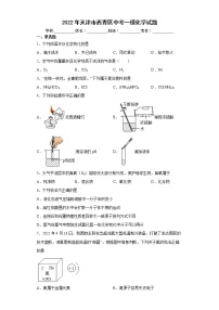 2022年天津市西青区中考一模化学试题(word版含答案)