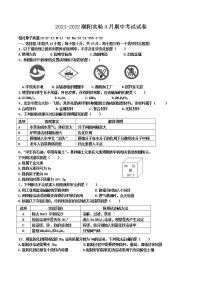 2021-2022学年第二学期广东省汕头市潮阳实验中学4月期中考试九年级化学试卷（WORD版，无答案）