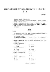 2022年天津市滨海新区九年级学业质量调查试卷（一）化学试卷含答案（初三一模）