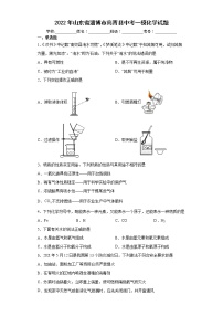 2022年山东省淄博市高青县中考一模化学试题(word版含答案)