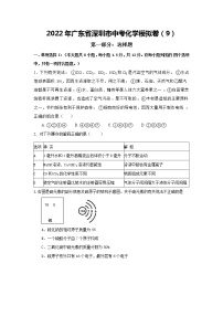 2022年广东省深圳市中考化学模拟卷（9）(word版含答案)