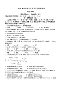 2022年云南省文山州中考一模化学试题(word版含答案)