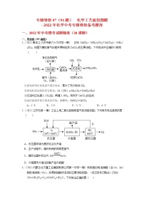 专精特新07  化学工艺流程图题（91题）-2022年化学中考专精特新备考题库·