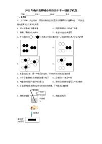 2022年山东省聊城市阳谷县中考一模化学试题(word版含答案)