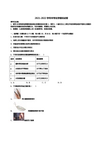 2021-2022学年山东省济南市钢城区实验校中考二模化学试题含解析