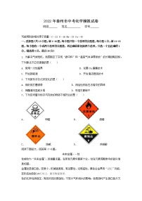 2022年江苏省泰州市中考模拟化学试卷