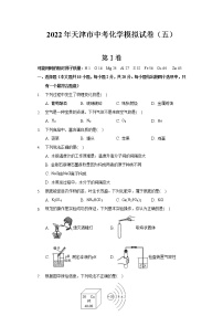 2022年天津市河东区中考模拟化学试卷（五）