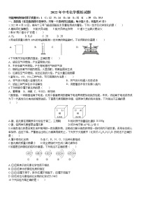 2022年湖南省常德中考模拟化学试题