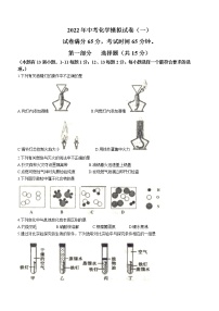 2022年辽宁省沈阳市皇姑区中考模拟化学试题（一）(word版无答案)