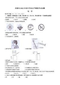 2022年广东省河源市初中学业水平模拟化学试题(word版含答案)