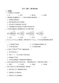 中考化学二轮专题复习-分子、原子、离子和元素解析版