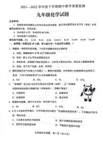 山东省泰安市肥城市2021-2022学年九年级下学期期中考试（一模）化学试题（含答案）