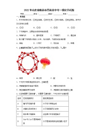 2022年山东省临沂市莒南县中考一模化学试题(word版含答案)