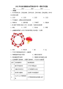2022年山东省临沂市莒南县中考一模化学试题(word版含答案)