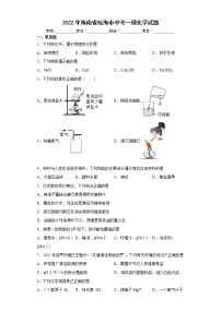 2022年海南省琼海市中考一模化学试题(word版含答案)