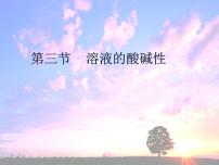 初中化学鲁教版九年级下册第三节 溶液的酸碱性教课内容课件ppt
