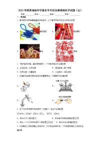 2022年陕西省初中学业水平考试全真模拟化学试题（五）(word版含答案)