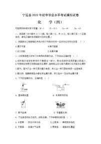2022年宁远县初中学业水平考试化学模拟试卷4（含答案）