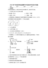 2022年广东省深圳市龙岗区中考适应性考试化学试题(word版含答案)