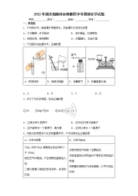 2022年湖北省随州市曾都区中考模拟化学试题(word版含答案)
