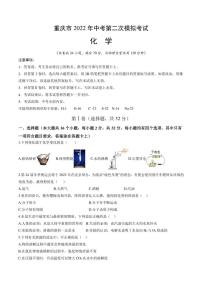 2022年重庆市渝中区中考化学二模试卷（含答案）