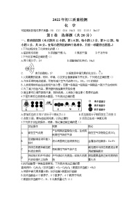 2022年广东省深圳市27校九年级4月联考（二模）化学卷及答案