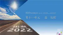 第11单元 盐 化肥(课件+练习)-2022年中考化学一轮复习讲练测