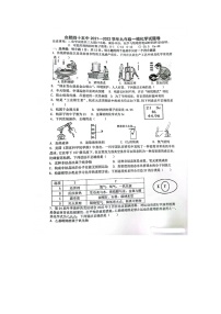 2022年安徽省合肥市庐阳区第四十五中学中考一模化学卷（无答案）.docx